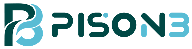 Pison SMS